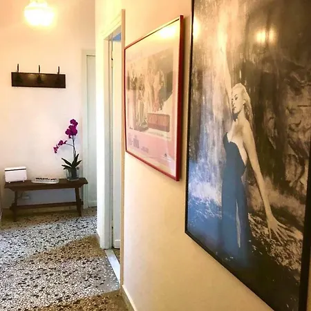 D&d - Vatican St Peter *